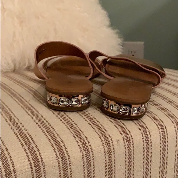 Dune Slides - Picture 2 of 2